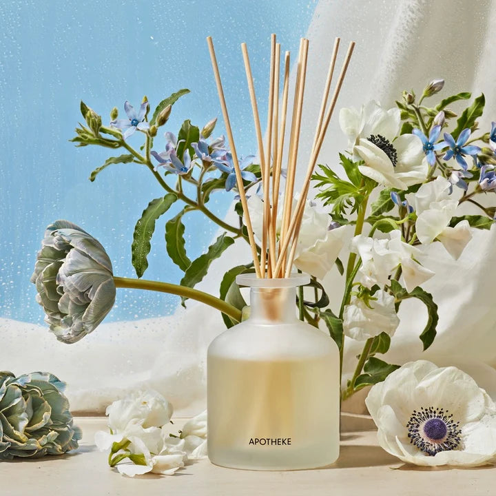 Apotheke | Reed Diffuser | Canvas