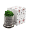 Lola's Apothecary | Breath of Clarity Bath Salts | 300ml