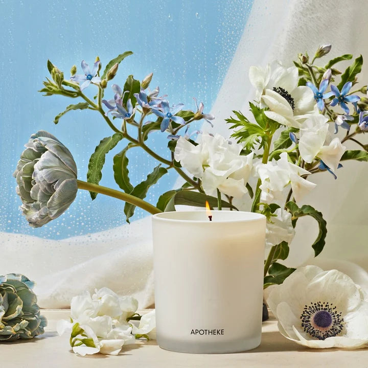 Apotheke | Classic Candle | Canvas