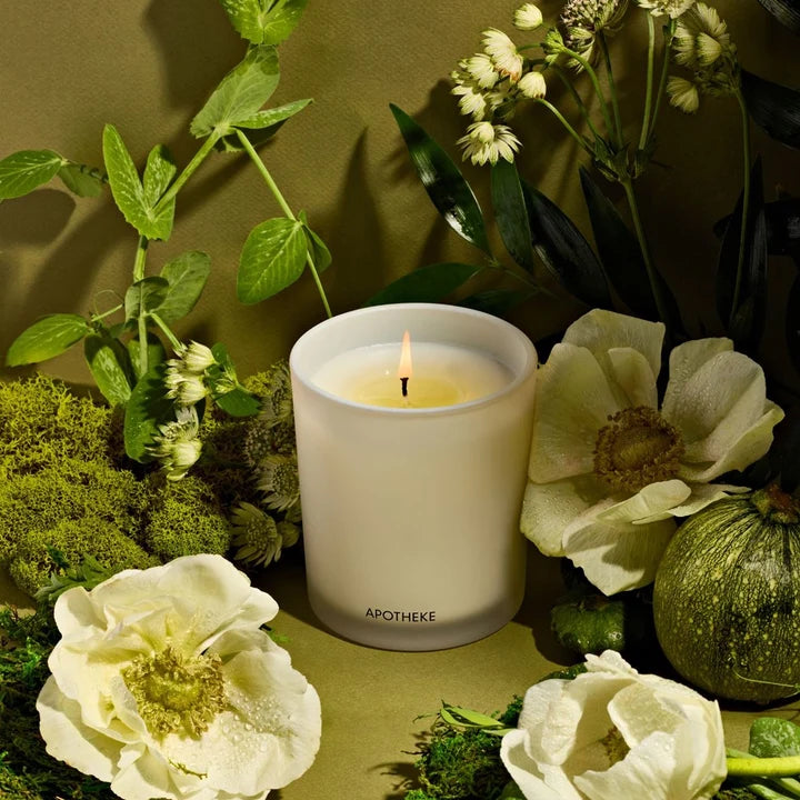 Apotheke| Classic Candle | Verdant Garden |